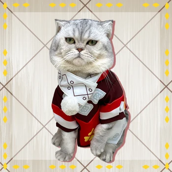 Anime Žaidimas Genshin Poveikio Klee Pet Šuo, Katė, Cosplay Kostiumai