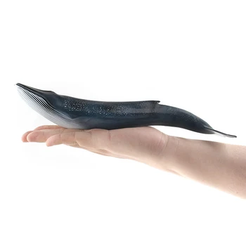 Banginis Gyvūnų Skaičius Kolekcines Žaislas Modeliavimas Jūrų Gyvūnų Gyvenimo Modelį Žaislas Pažinimo Veiksmų Plaything Modelio Švietimo Žaislas, Vaikas