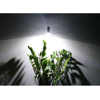 E27 LED Grow lempa 12W Raudona Mėlyna Augalai, Rožės Chrizantema Gėlės