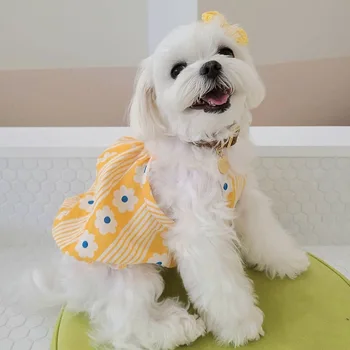 Pavasario ir vasaros naujų pet diržas Bichon Teddy šuo sijonas burbulas gėlių vest orui pritaikytas drabužiai