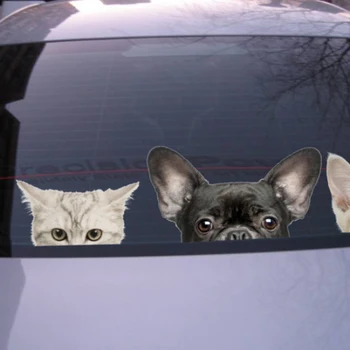 Juokinga 3D Katė, Šuo, Pusę veido Kyšantį automobilių lipdukas Sienos fone, Meno, lipdukai, papuošimai mielas gyvūnų sienų lipdukai namų dekoro